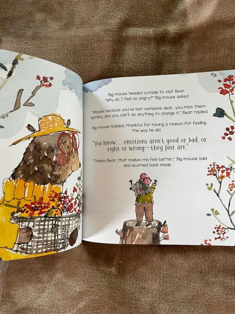 Karen Brough I Can't Believe They're Gone Children's Grief Book Comfort Loss